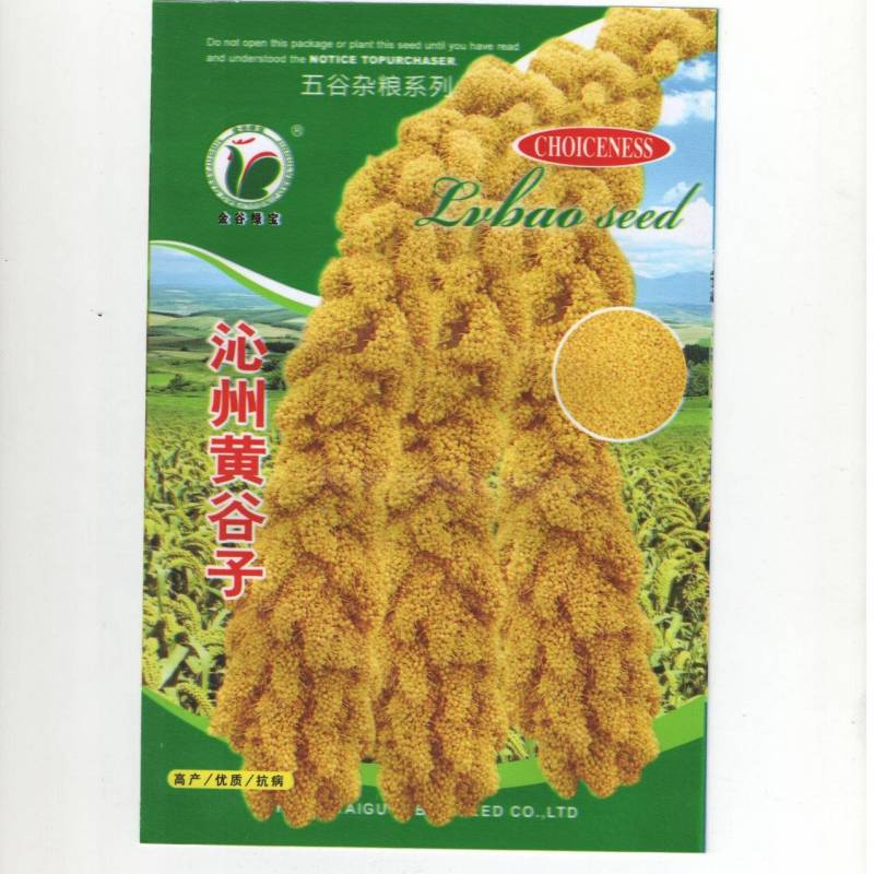 山西特产谷子种子沁州黄小米种子高产易种植香甜糯谷种