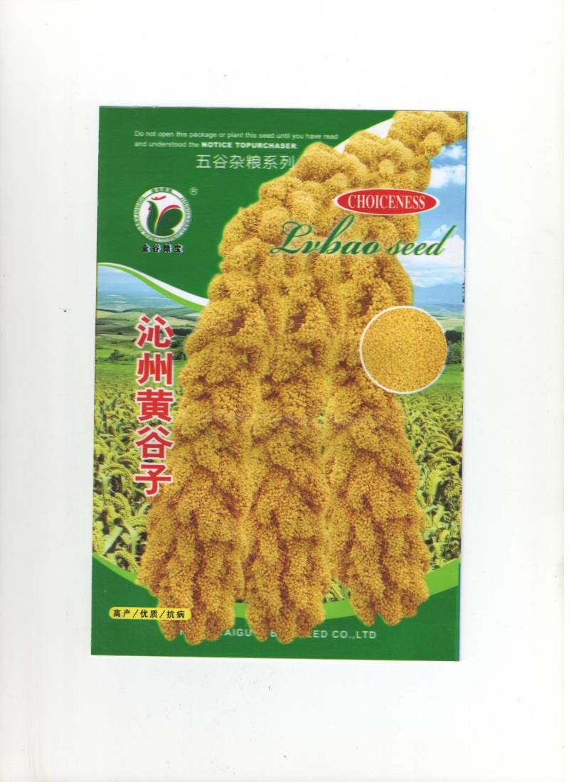山西特产谷子种子沁州黄小米种子高产易种植香甜糯谷种