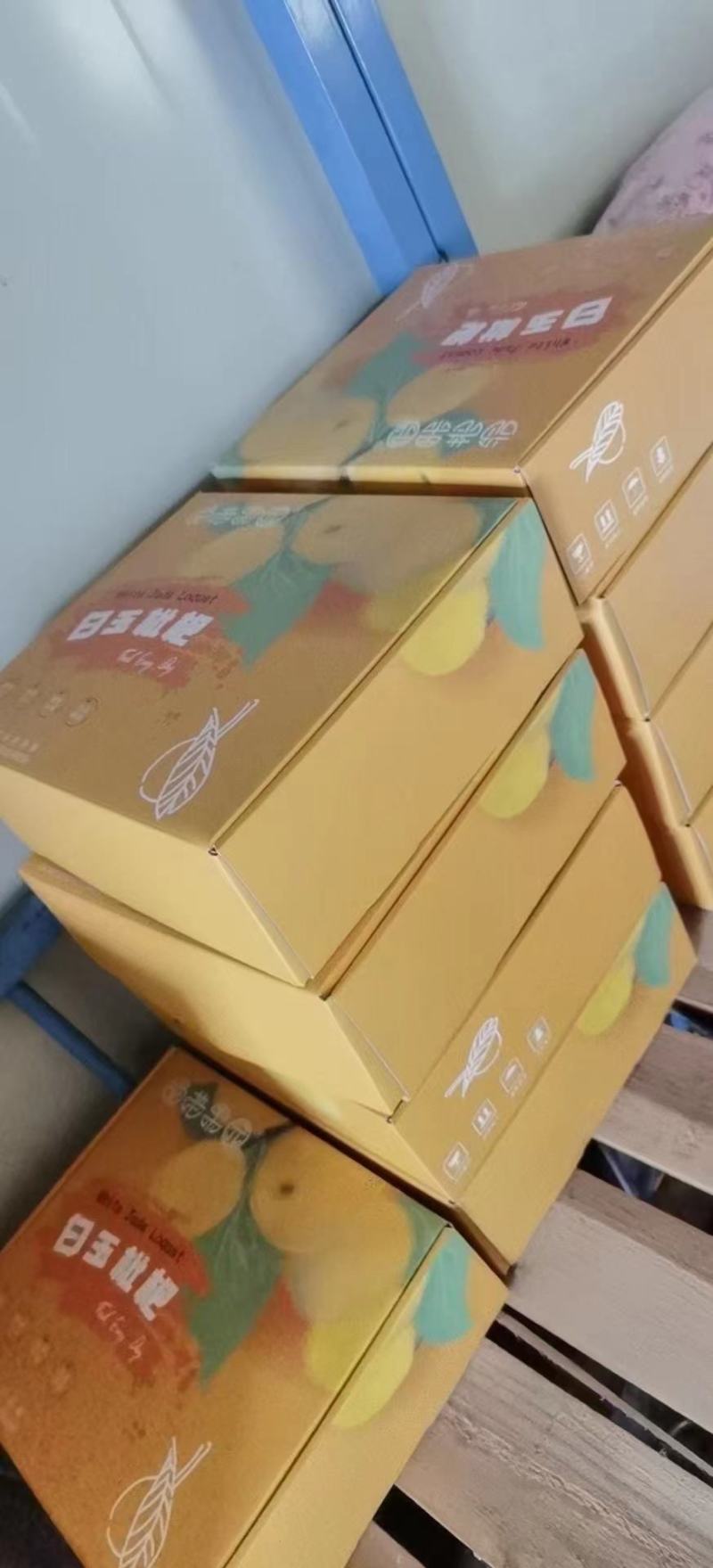 (热销)白玉枇杷产区直供货源充足量大从优全国发货欢迎订购