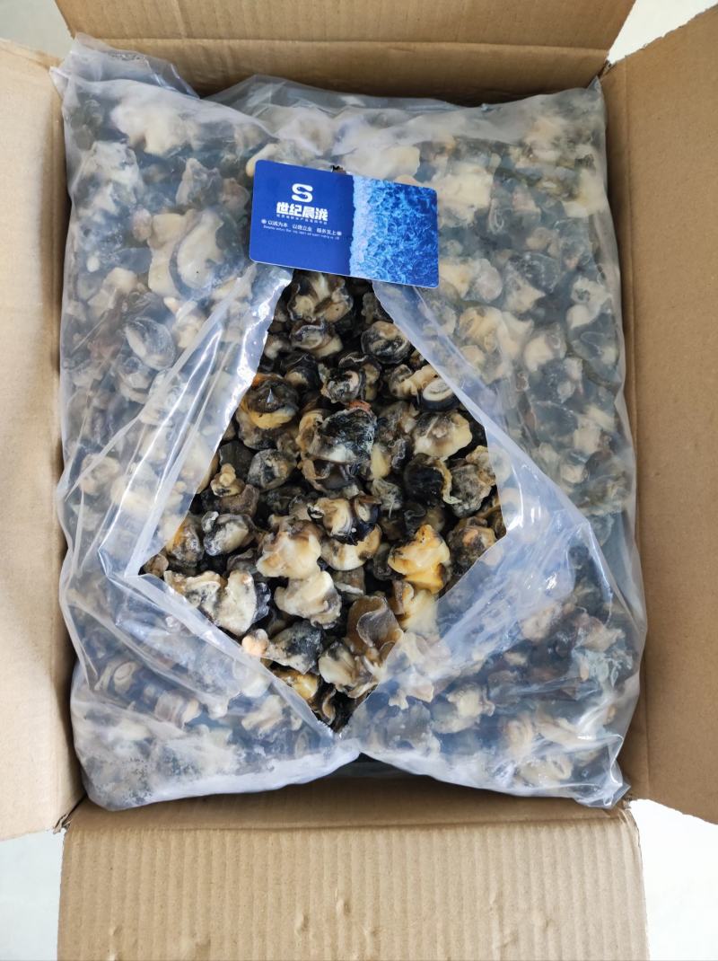 干冰单冻田螺肉净20斤/件4包装干冰货性价比高