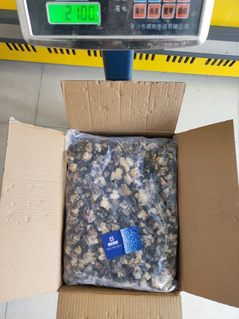 干冰单冻田螺肉净20斤/件4包装干冰货性价比高