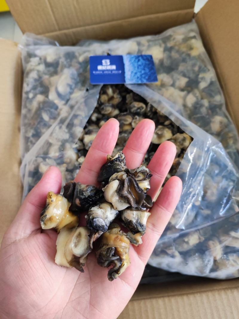 干冰单冻田螺肉净20斤/件4包装干冰货性价比高
