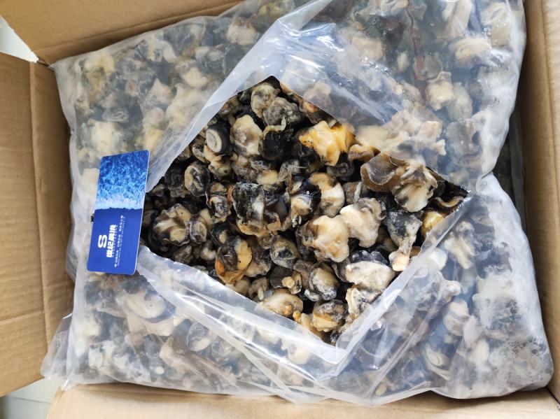 干冰单冻田螺肉净20斤/件4包装干冰货性价比高