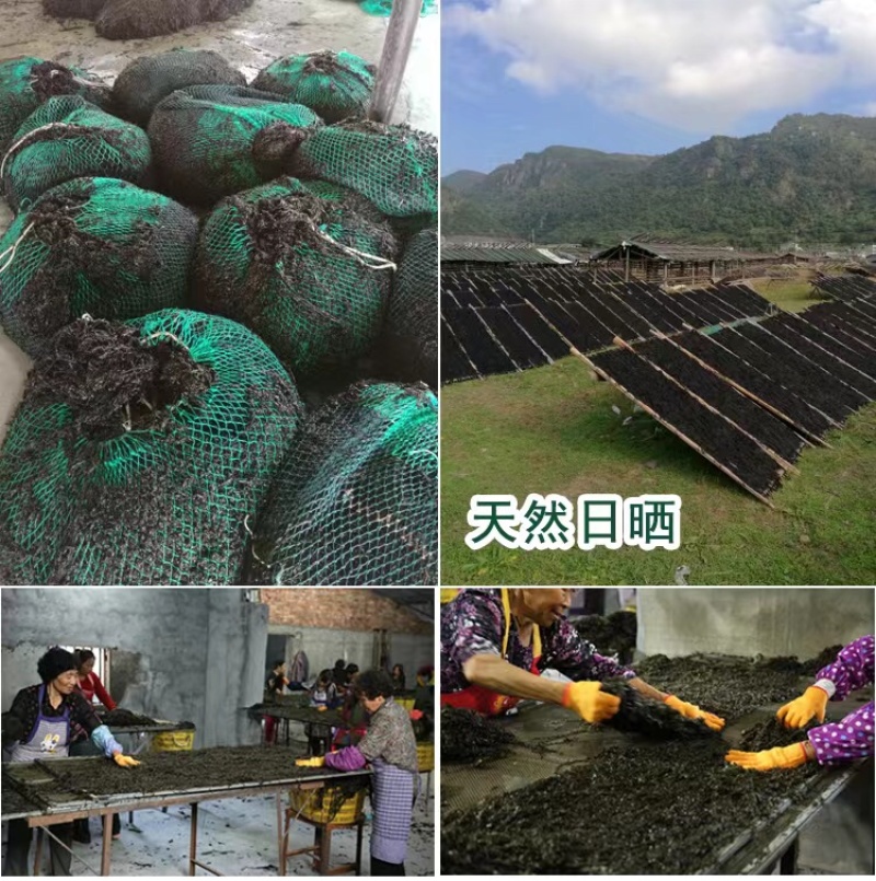 【牛商推荐】精品紫菜厂家直销量大从优保质保量全国发货