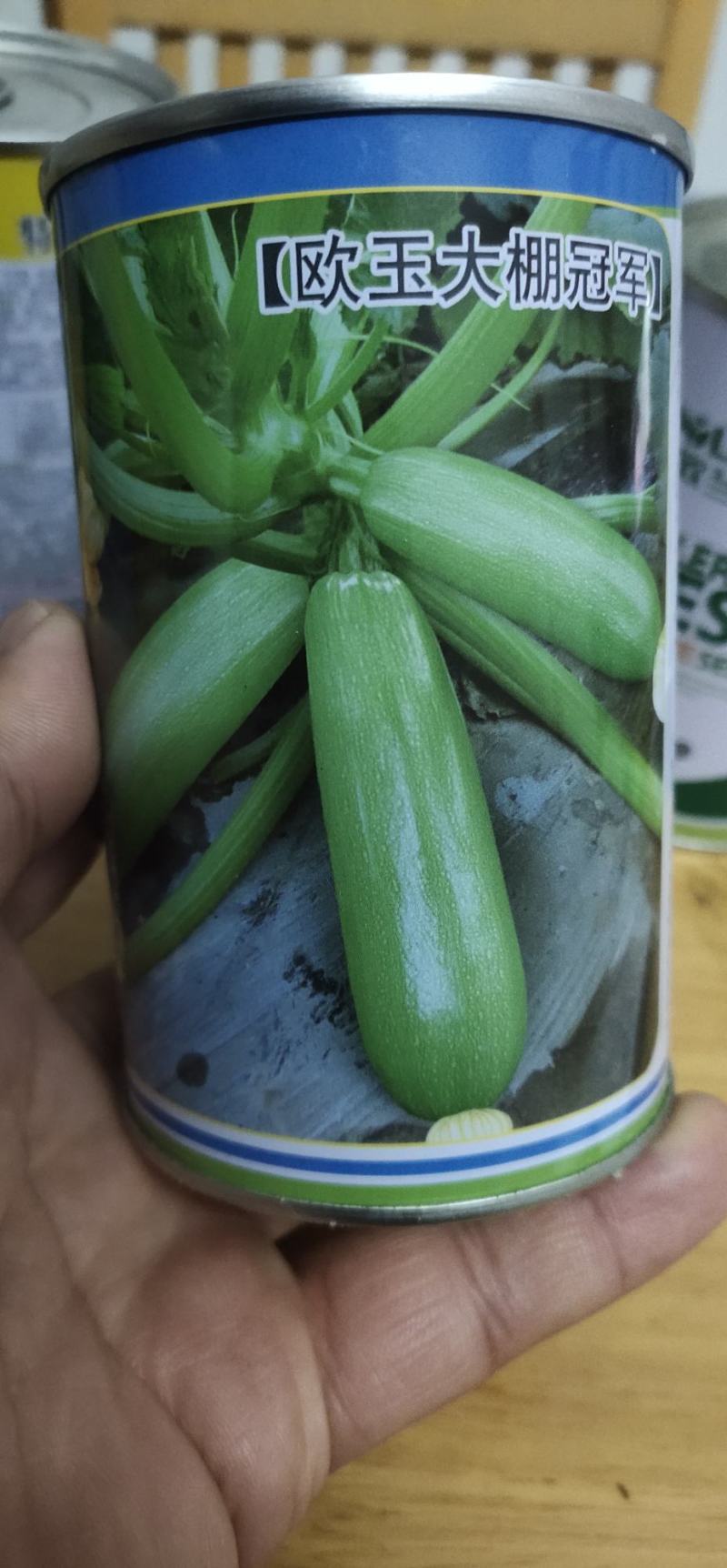 西葫芦种子欧玉育种，家培育的油绿，早熟，