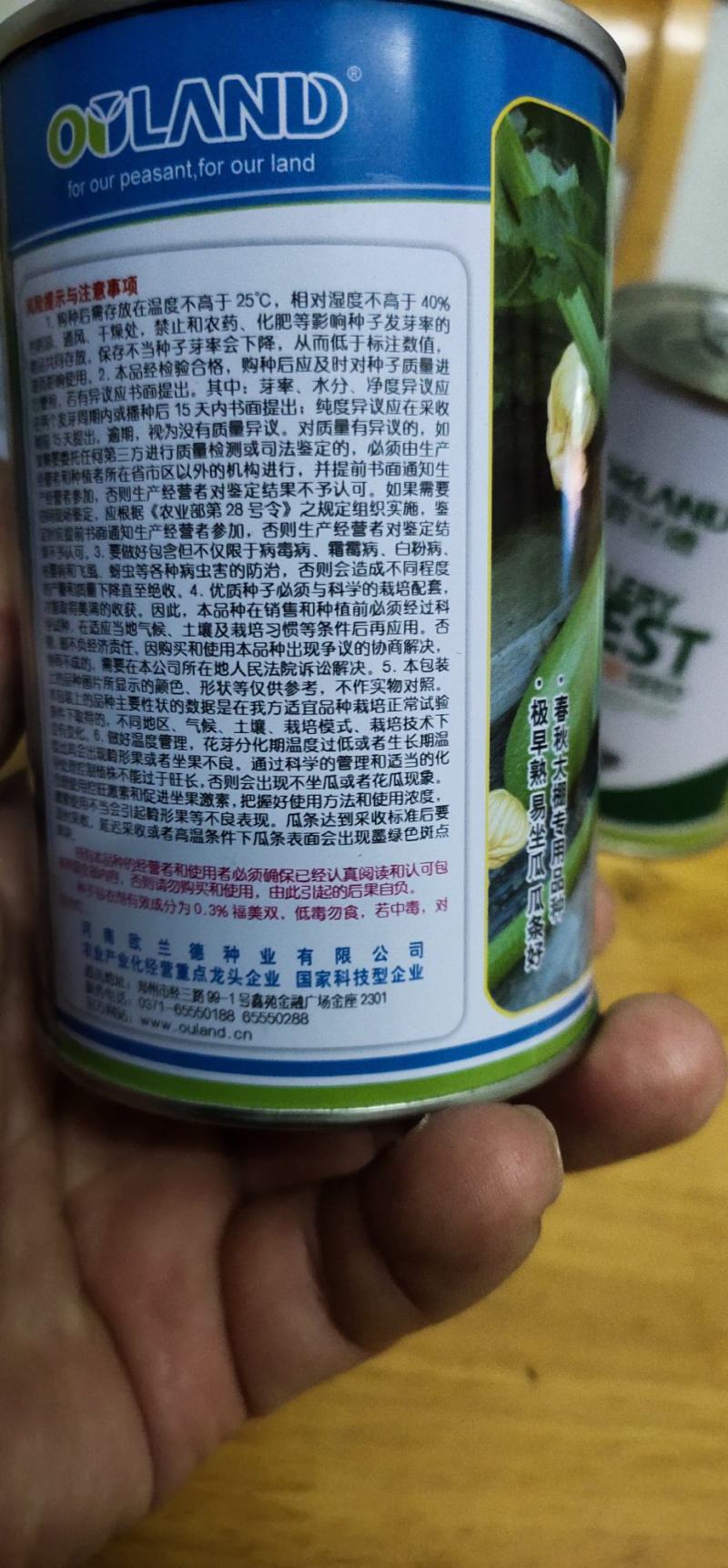 西葫芦种子欧玉育种，家培育的油绿，早熟，