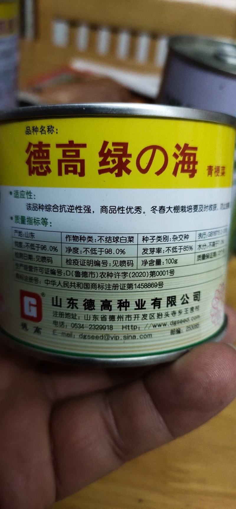 青梗菜德高绿海一代杂交翠绿色叶柄宽