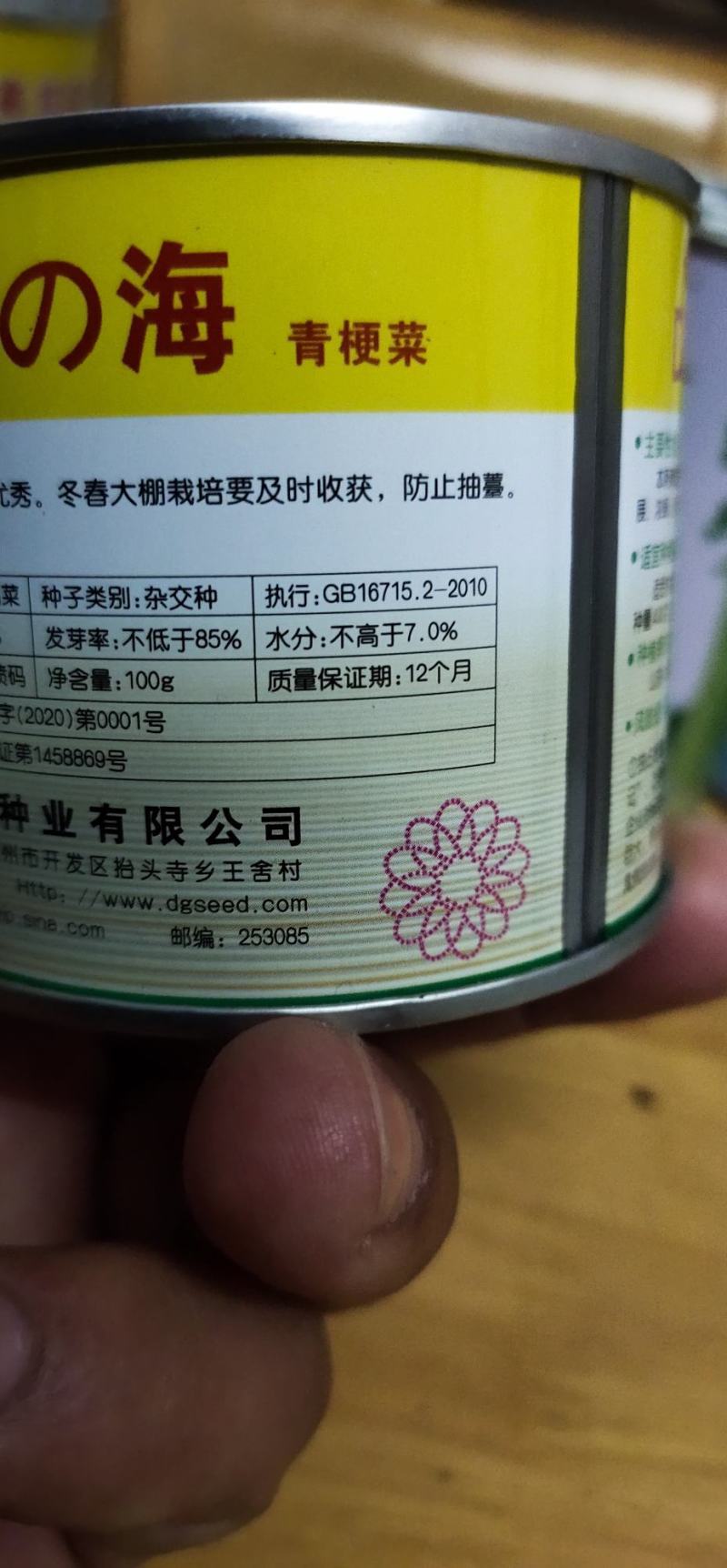 青梗菜德高绿海一代杂交翠绿色叶柄宽