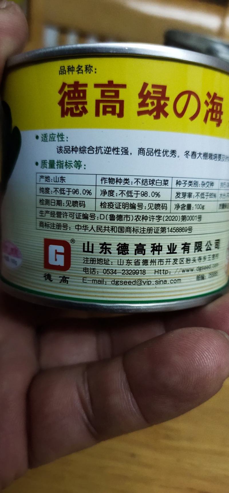 青梗菜德高绿海一代杂交翠绿色叶柄宽
