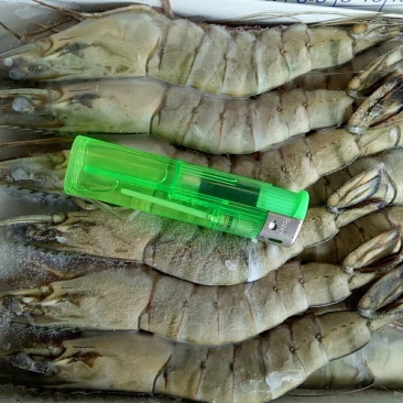 黑虎虾，（斑节虾）。合适电商平台，刺身，酒店，回购率高