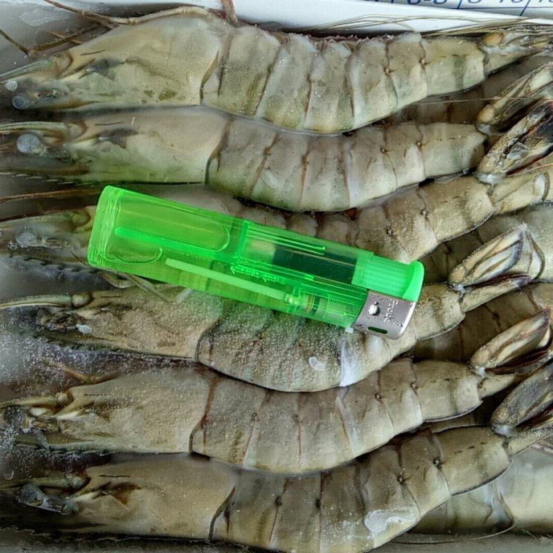 黑虎虾，（斑节虾）。合适电商平台，刺身，酒店，回购率高