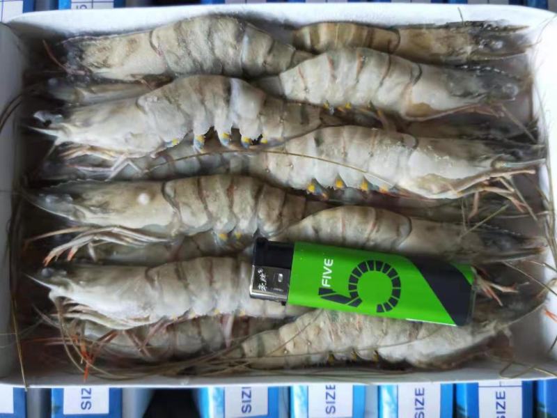 黑虎虾，（斑节虾）。合适电商平台，刺身，酒店，回购率高