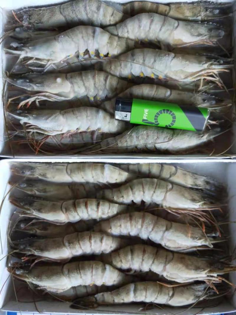 黑虎虾，（斑节虾）。合适电商平台，刺身，酒店，回购率高