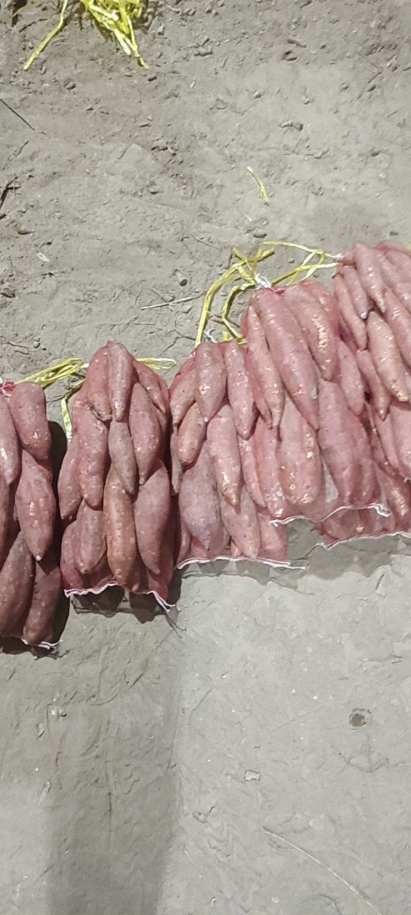 西瓜红红薯各种红薯都有全部都是批发价。