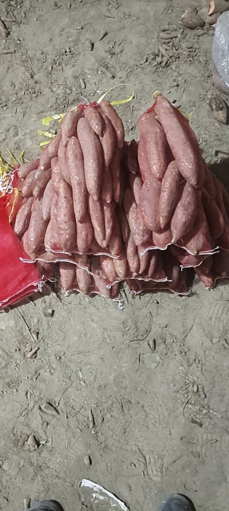 西瓜红红薯各种红薯都有全部都是批发价。