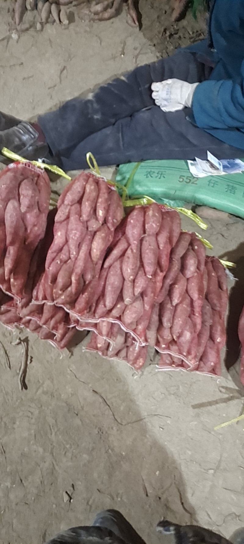 西瓜红红薯各种红薯都有全部都是批发价。