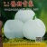 甜瓜种子杂交种豫甜雪梨：早熟薄皮甜瓜品种成熟白如玉