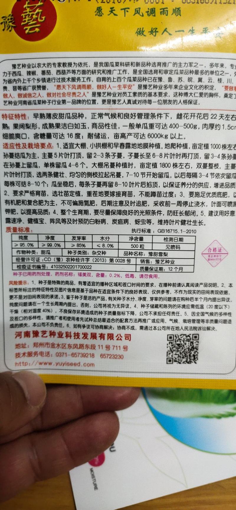 甜瓜种子杂交种豫甜雪梨：早熟薄皮甜瓜品种成熟白如玉