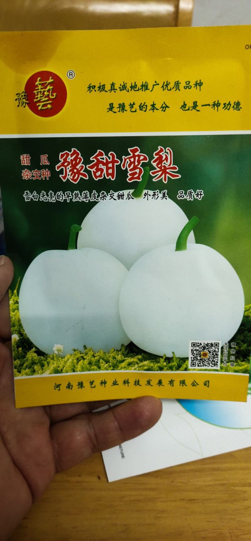 甜瓜种子杂交种豫甜雪梨：早熟薄皮甜瓜品种成熟白如玉
