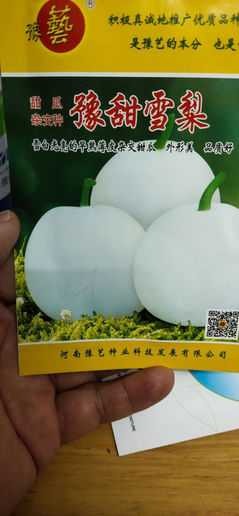 甜瓜种子杂交种豫甜雪梨：早熟薄皮甜瓜品种成熟白如玉