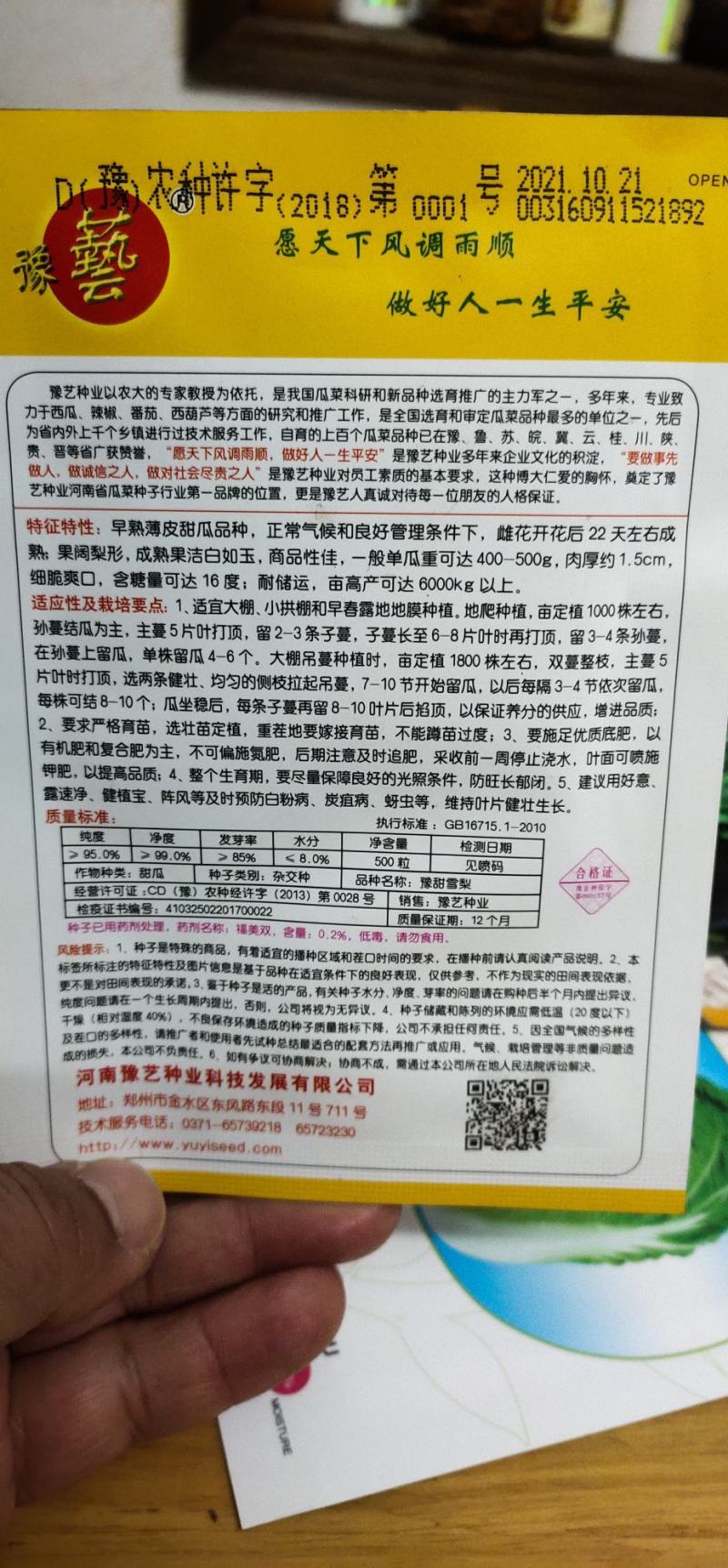 甜瓜种子杂交种豫甜雪梨：早熟薄皮甜瓜品种成熟白如玉