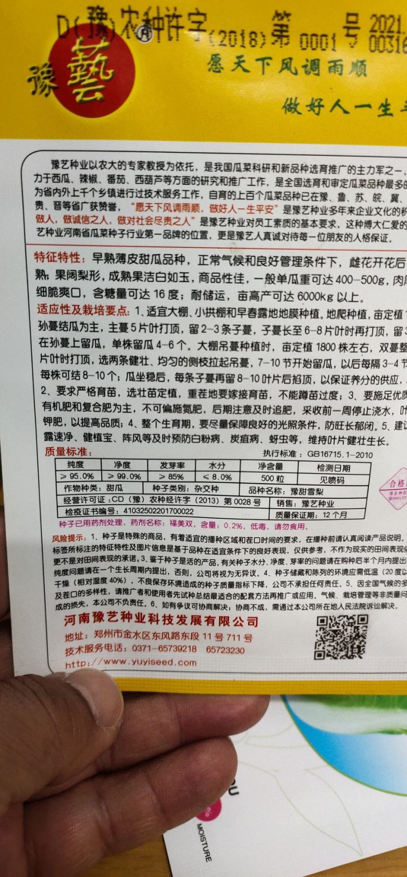 甜瓜种子杂交种豫甜雪梨：早熟薄皮甜瓜品种成熟白如玉