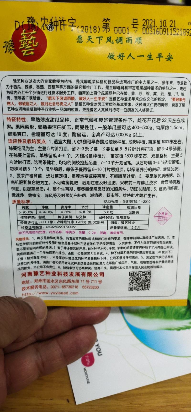 甜瓜种子杂交种豫甜雪梨：早熟薄皮甜瓜品种成熟白如玉