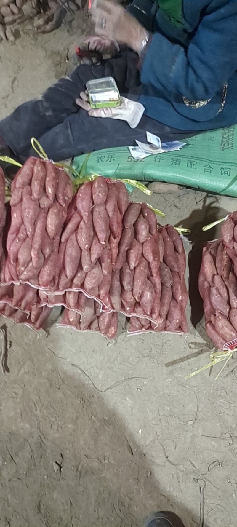 西瓜红红薯各种红薯都有全部都是批发价。