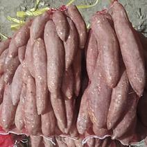 西瓜红红薯各种红薯都有全部都是批发价。