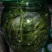 香椿芽。。。。。。。。。。。。。。。。。。