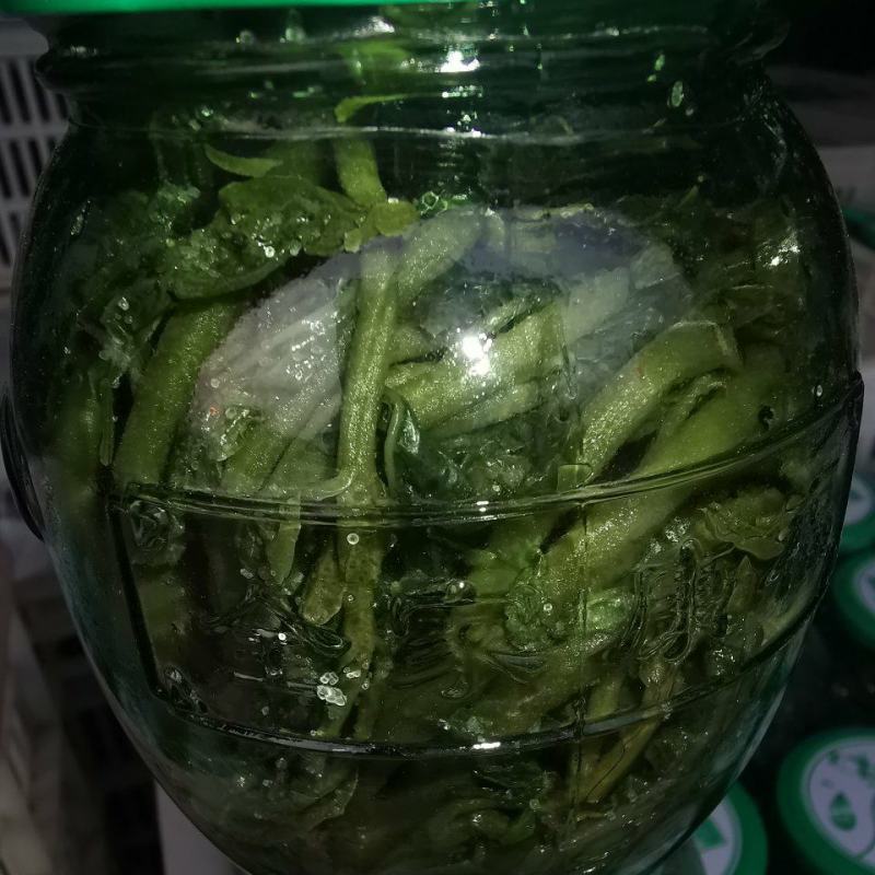 香椿芽。。。。。。。。。。。。。。。。。。