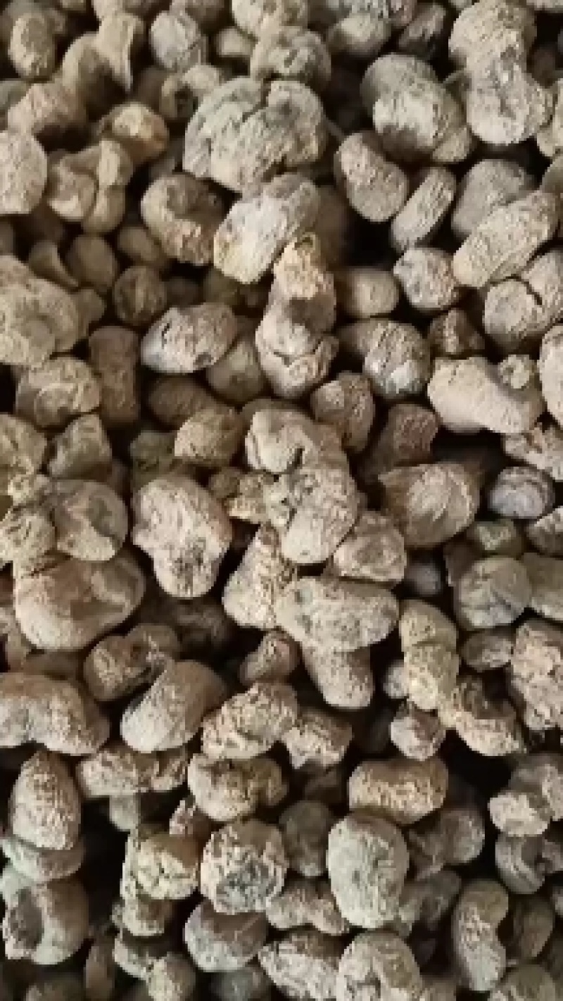 【保质保量】元胡浙江元胡无硫色泽自然保证质量产地直发