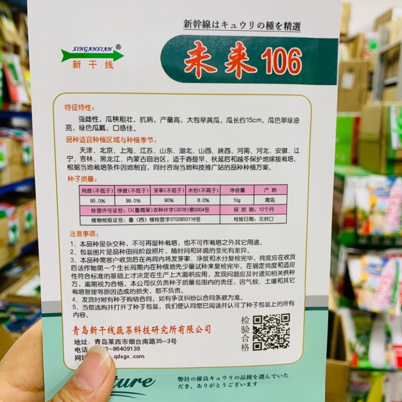 未来103强雌大苞旱黄瓜种子水果黄瓜种子，耐寒抗病高产