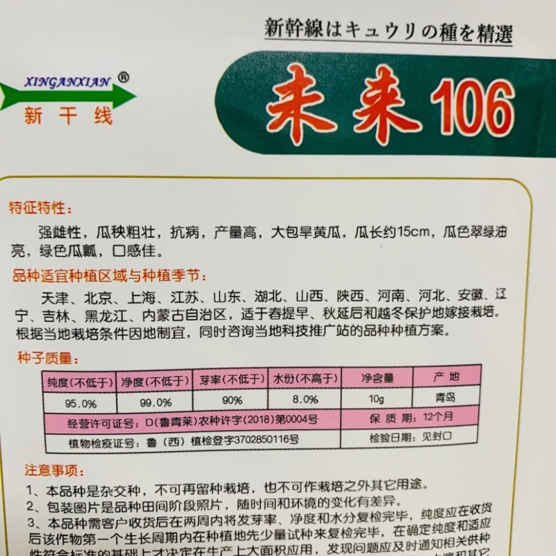 未来103强雌大苞旱黄瓜种子水果黄瓜种子，耐寒抗病高产