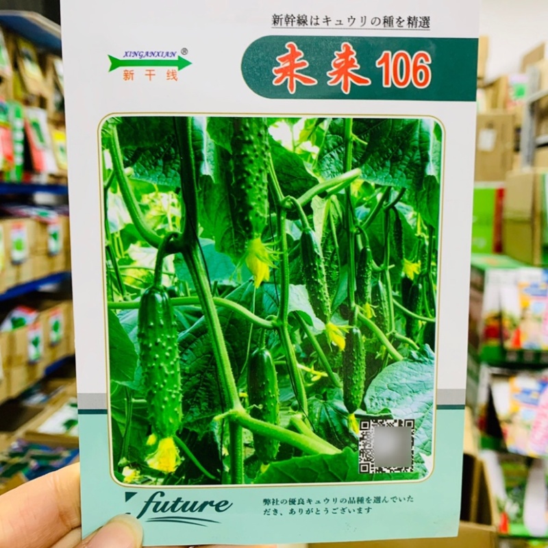 未来103强雌大苞旱黄瓜种子水果黄瓜种子，耐寒抗病高产