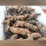 土茯苓量大从优纯野生高含量优质清白无霉烂