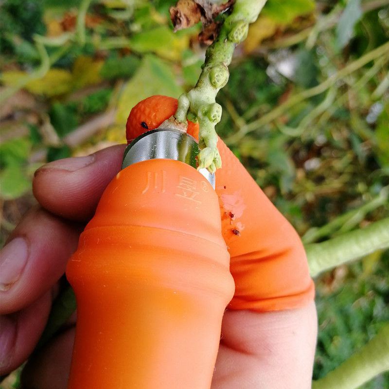 采摘钳批发采摘神器摘花椒摘草莓摘樱桃摘枇杷摘蔬菜刀