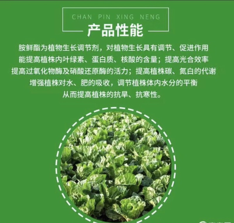 8%胺鲜酯植物生长调节剂膨大着色增产抗逆促进生长调节剂