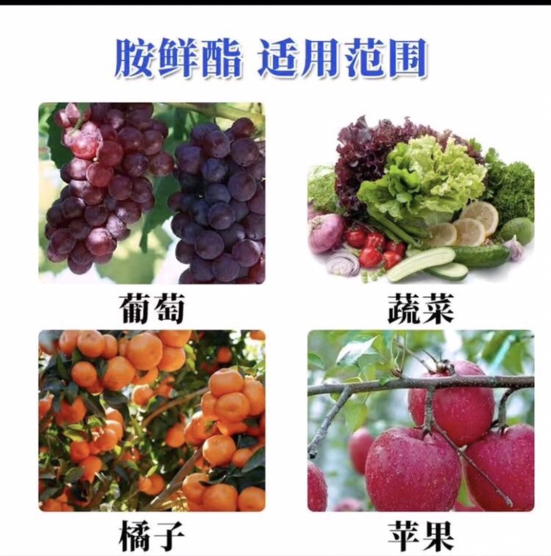 8%胺鲜酯植物生长调节剂膨大着色增产抗逆促进生长调节剂
