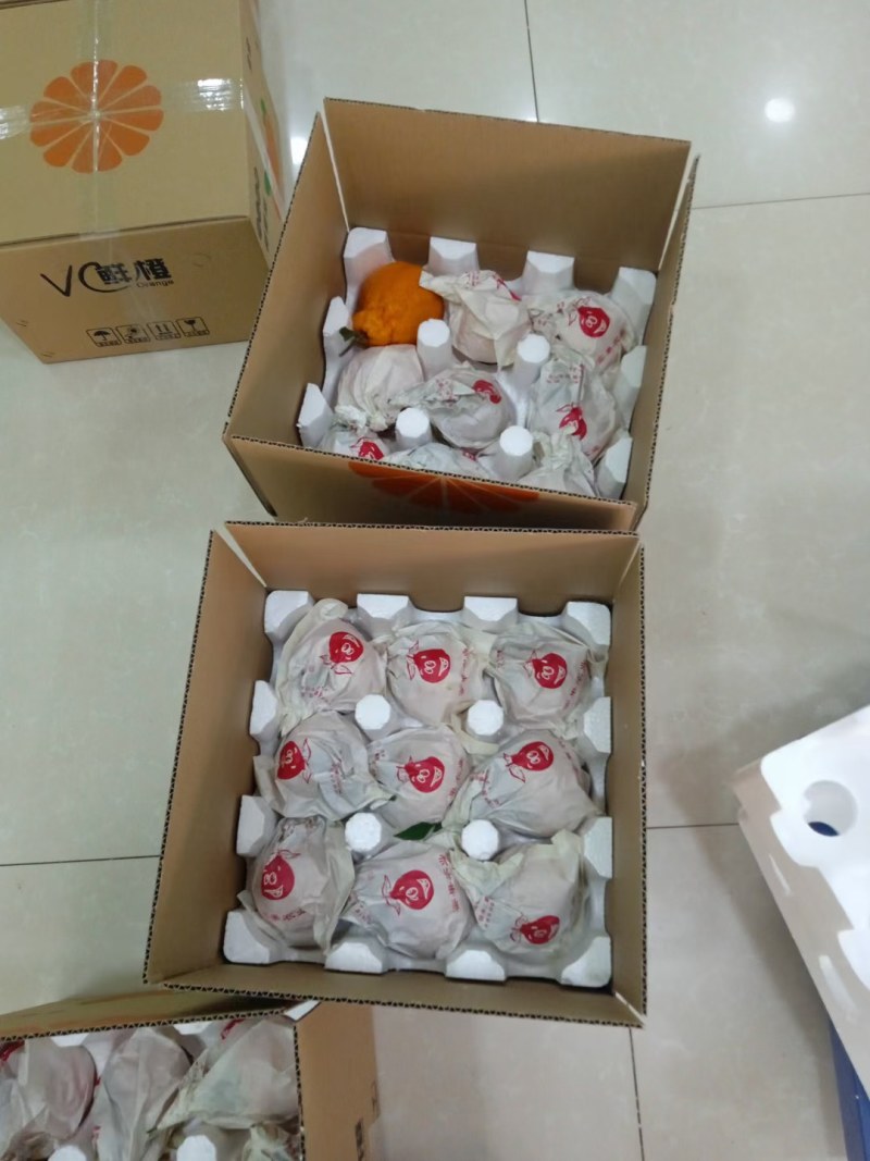 一年一度的“耙耙柑、脐橙”熟了，鲜货供应，好吃不贵欢迎采