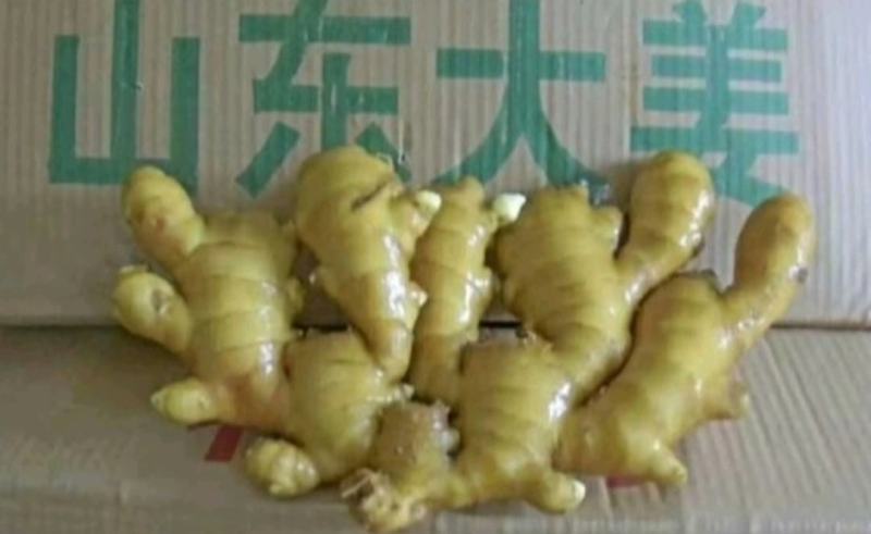 山西生姜批发【泥姜/水洗姜/风干姜】保质保量代发代存