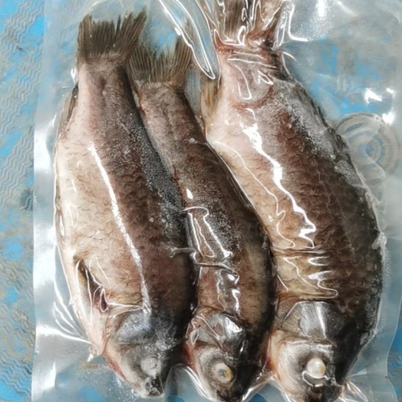 【速冻发货】微山湖原生鲫鱼，自然生长，活鱼现杀，发货全国