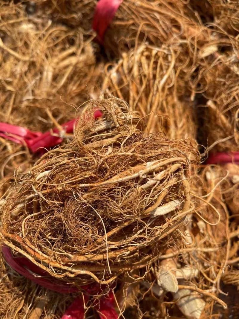 汤料，药材，药食同五指毛桃，五爪金龙，牛奶根，扎把，无硫