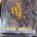 金线莲金线草一斤装台湾红霞小圆叶整根无碎新货