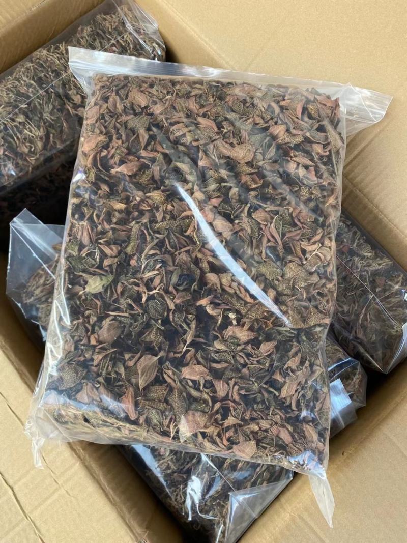 金线莲金线草一斤装台湾红霞小圆叶整根无碎新货