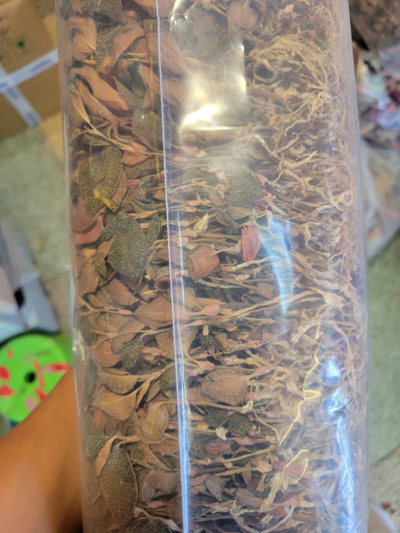 金线莲金线草一斤装台湾红霞小圆叶整根无碎新货