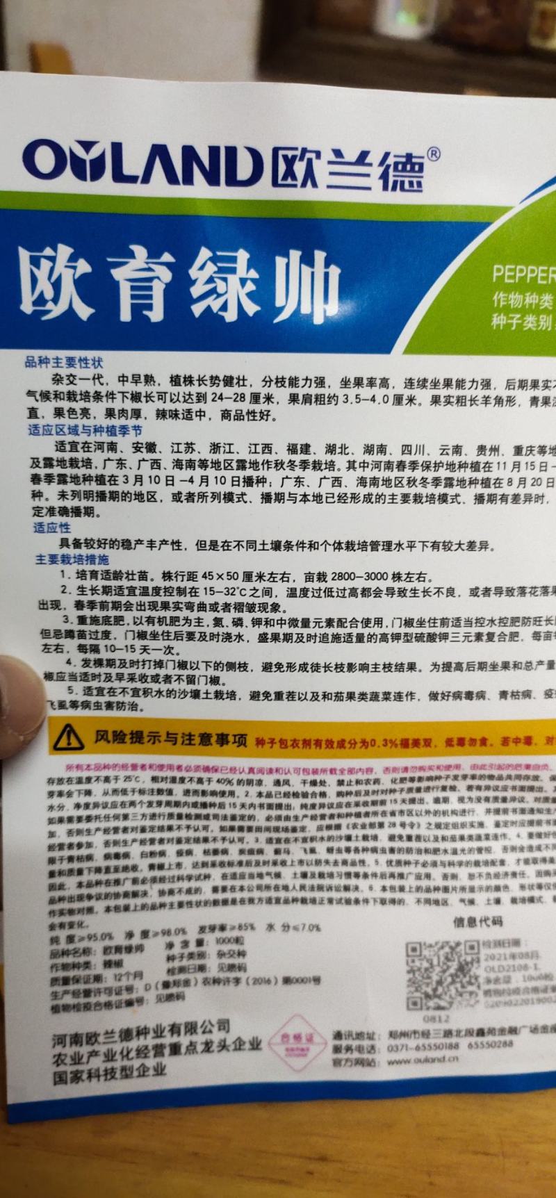 辣椒椒种子欧玉绿帅杂交种早熟果实粗长，青果深绿色