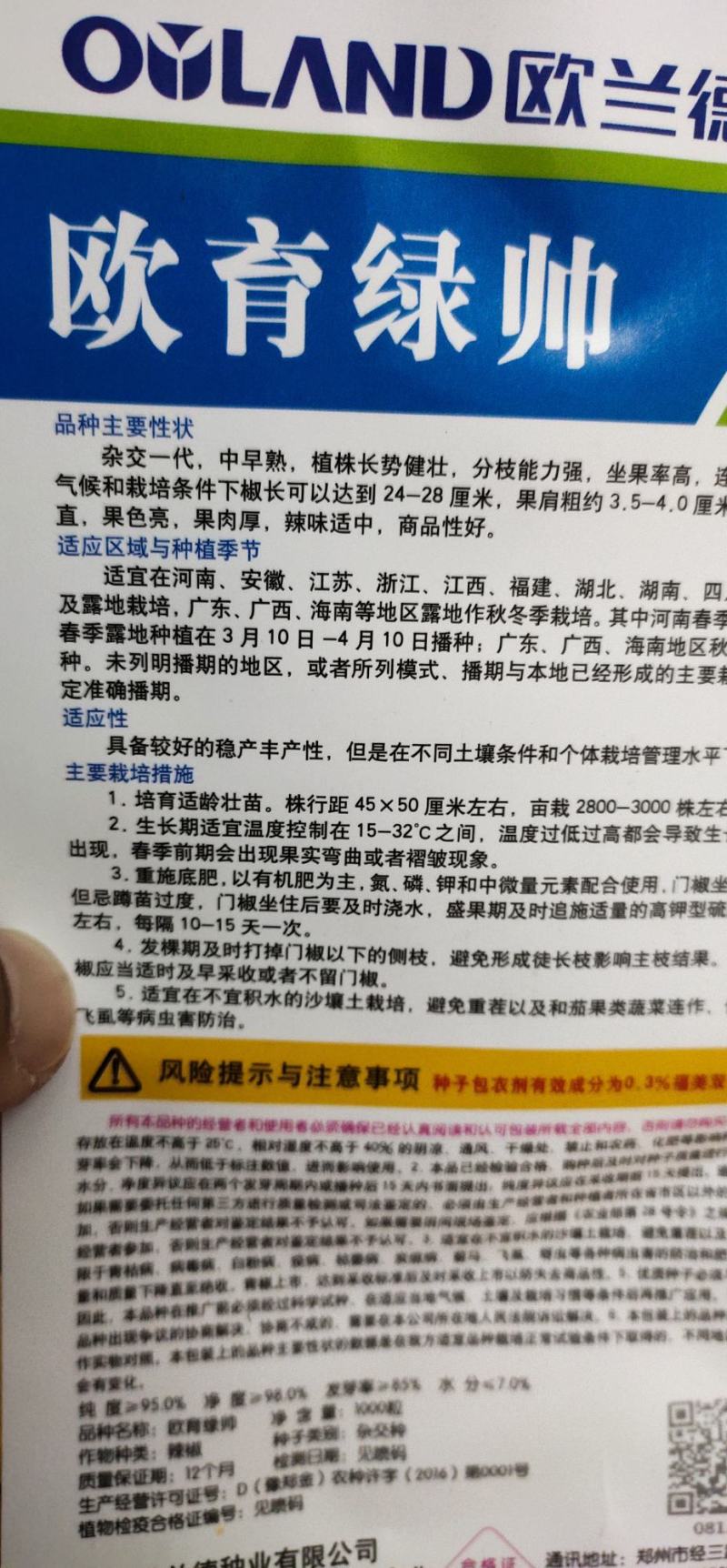 辣椒椒种子欧玉绿帅杂交种早熟果实粗长，青果深绿色