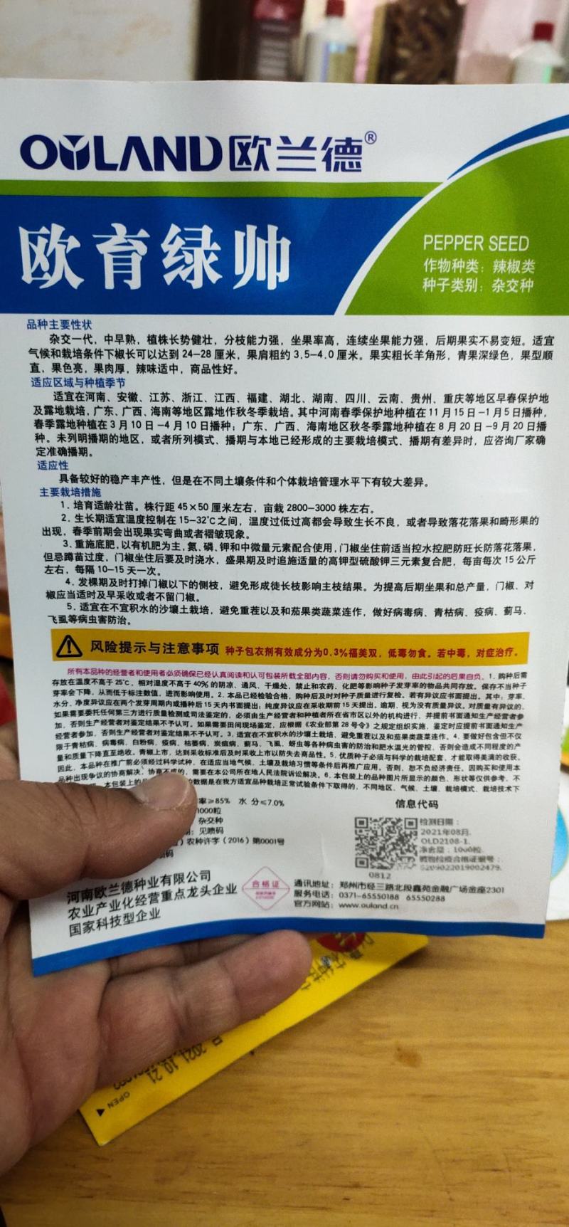 辣椒椒种子欧玉绿帅杂交种早熟果实粗长，青果深绿色