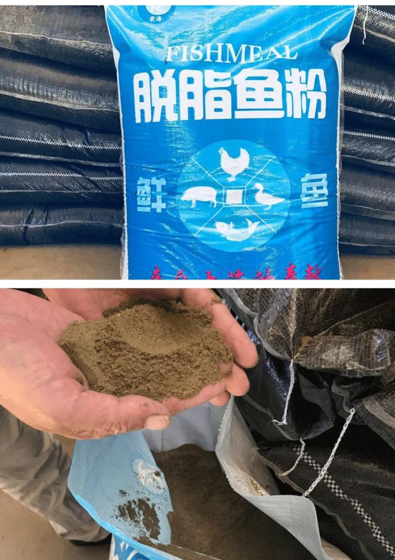 秘鲁鱼粉/骨粉饲料/鱼粉/天津鱼粉高蛋白68蛋白